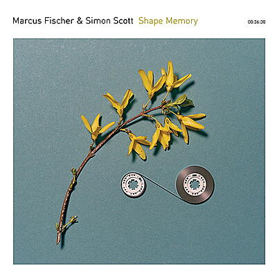 Marcus Fischer & Simon Scott - Shape Memory