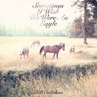 Bill Callahan - Sometimes I Wish We Were An Eagle