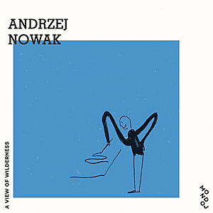 Andrzej Nowak - A View of Wilderness