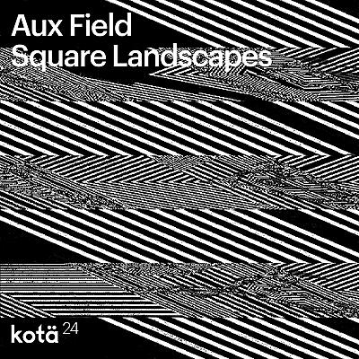 Aux Field - Square Landscapes