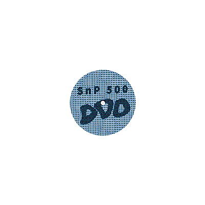 SnP 500 - SnP 500