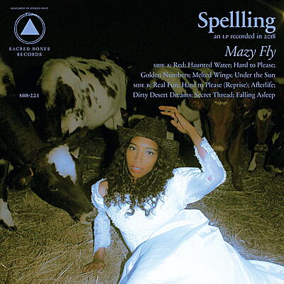Spellling - Mazy Fly