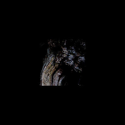 Brunnen - The Garden Of Perpetual Dreams
