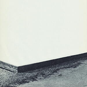 Willamette - Diminished Composition