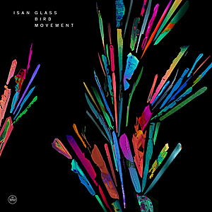 ISAN - Glass Bird Movement
