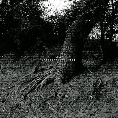 Shed - Shedding The Past