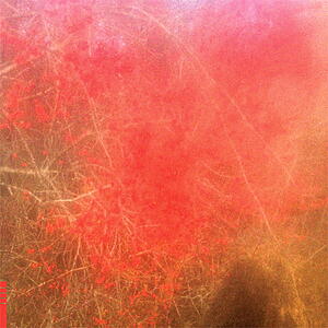 Foom & Foam - Foom & Foam