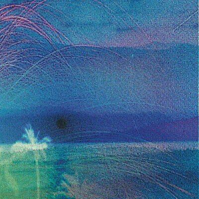 Flying Saucer Attack & Roy Montgomery - Goodbye