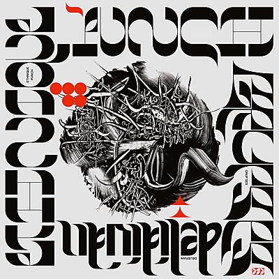 Grup Ses & Ethnique Punch - Deli Divan