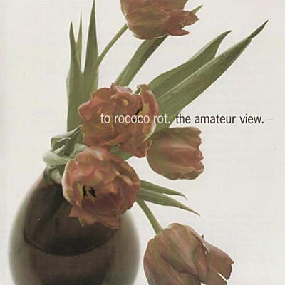 To Rococo Rot - The Amateur View
