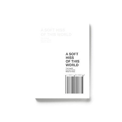 Tim Ingold & Carmen Pardo & Mikel R. Nieto - A Soft Hiss Of This World