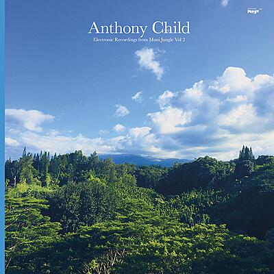 Anthony Child - Electronic Recordings from Maui Jungle Vol. 2