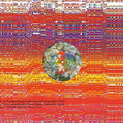 Four Tet - Teenage Birdsong