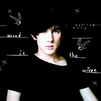 Patrick Wolf - Wind in the Wires