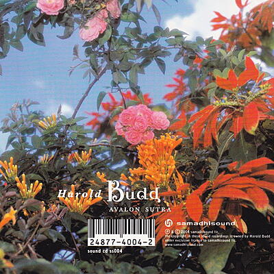 Harold Budd & Akira Rabelais - Avalon Sutra
