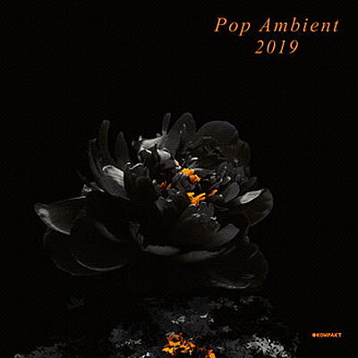 Various Artists - Pop Ambient 2019