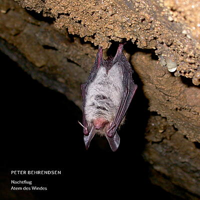 Peter Behrendsen - Nachtflug / Atem Des Windes