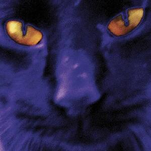 David Kilgour And The Heavy Eights - Bobbie's a girl