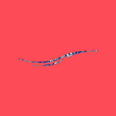 The Swifter - Wall Sailor