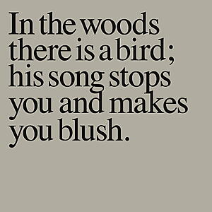 Olaf Nicolai - In The Woods There Is A Bird ...