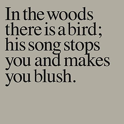Olaf Nicolai - In The Woods There Is A Bird ...