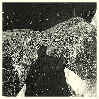 Secret Boyfriend - Memory Care Unit