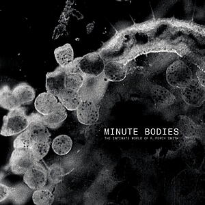 Tindersticks - Minute Bodies: The Intimate World Of F. Percy Smith