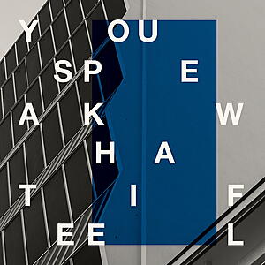 You Speak What I Feel (DJ Sprinkles x SND) - My Good Friends Tell Me That