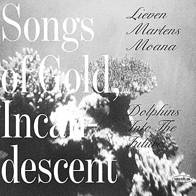 Dolphins Into The Future / Lieven Martens Moana - Songs Of Gold, Incandescent (Expanded)