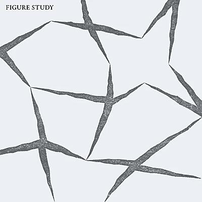 Figure Study - Figure Study