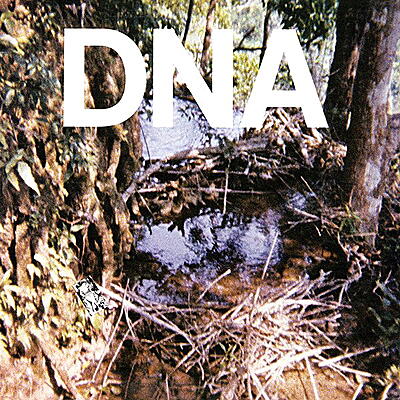 DNA - A Taste Of DNA
