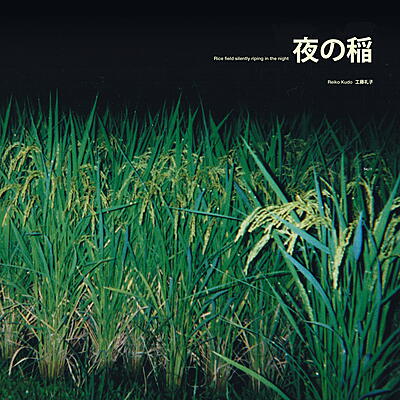 Reiko Kudo - Rice Field Silently Riping In The Night