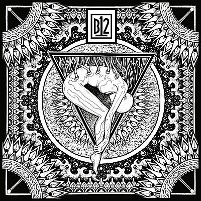 B12 - Electro-Soma II