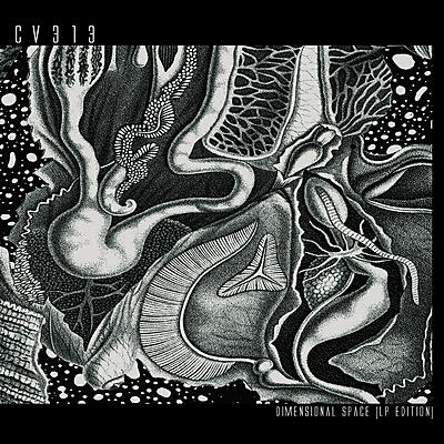 CV313 - Dimensional Space