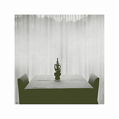 Joana Gama & Luis Fernandes - At The Still Point Of The Turning World