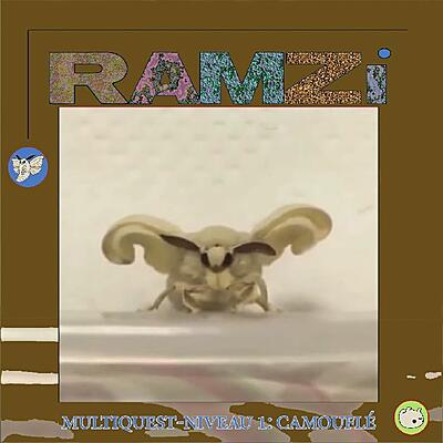 RAMZi - Multiquest Niveau 1: Camouflé