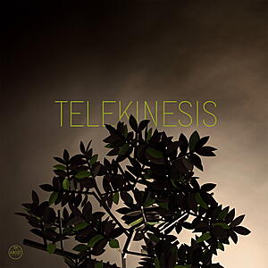 Telekinesis - Please Ask For Help / Game Of Pricks